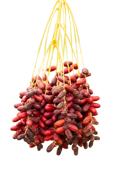 Best Dates shopping in Bangladesh!